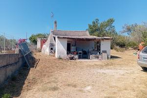 Viziliu/Serra di Lioni, casetta con oliveto