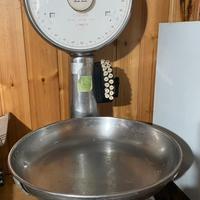 Bilancia per alimenti Italiana Macchi