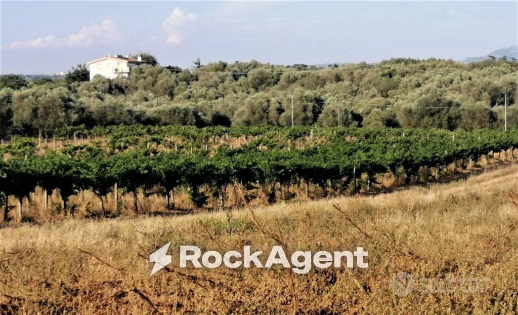 Terreno di 10000 m² a Lanuvio - Vista 5