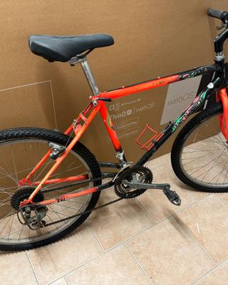 Bicicletta Mountain Bike 21 rapporti