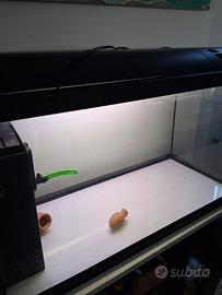acquario 100 litri