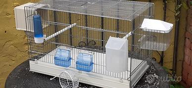 9 Gabbie per canarini