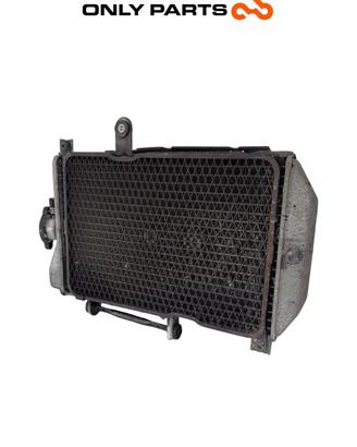 Radiatore Acqua Suzuki Burgman 650cc 2010