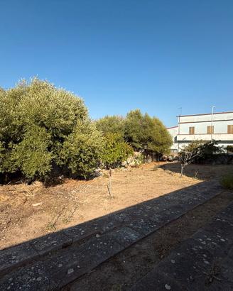 Terreno edificabile di 800 mq a Domusnovas