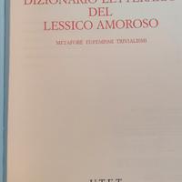 Dizionario Letterario del Lessico Amoroso