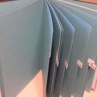 Classificatore numerico Fraschini 1- 31