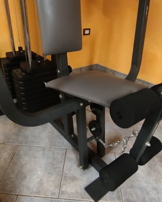 Palestra multifunzione 3 stazioni weider 8530