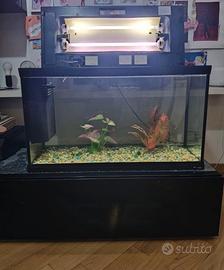 Acquario Cayman 80 Hydor-Ferplast da 120L