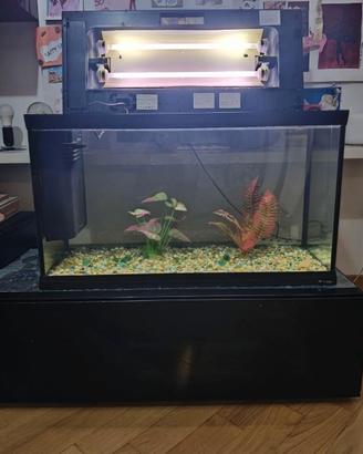Acquario Cayman 80 Hydor-Ferplast da 120L