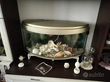 Arredamento con accessori