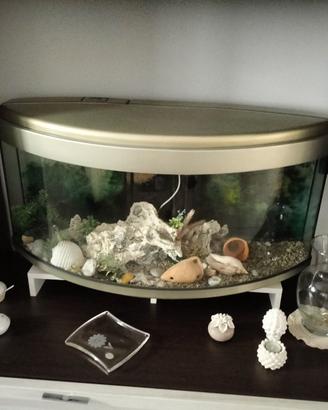 Arredamento con accessori