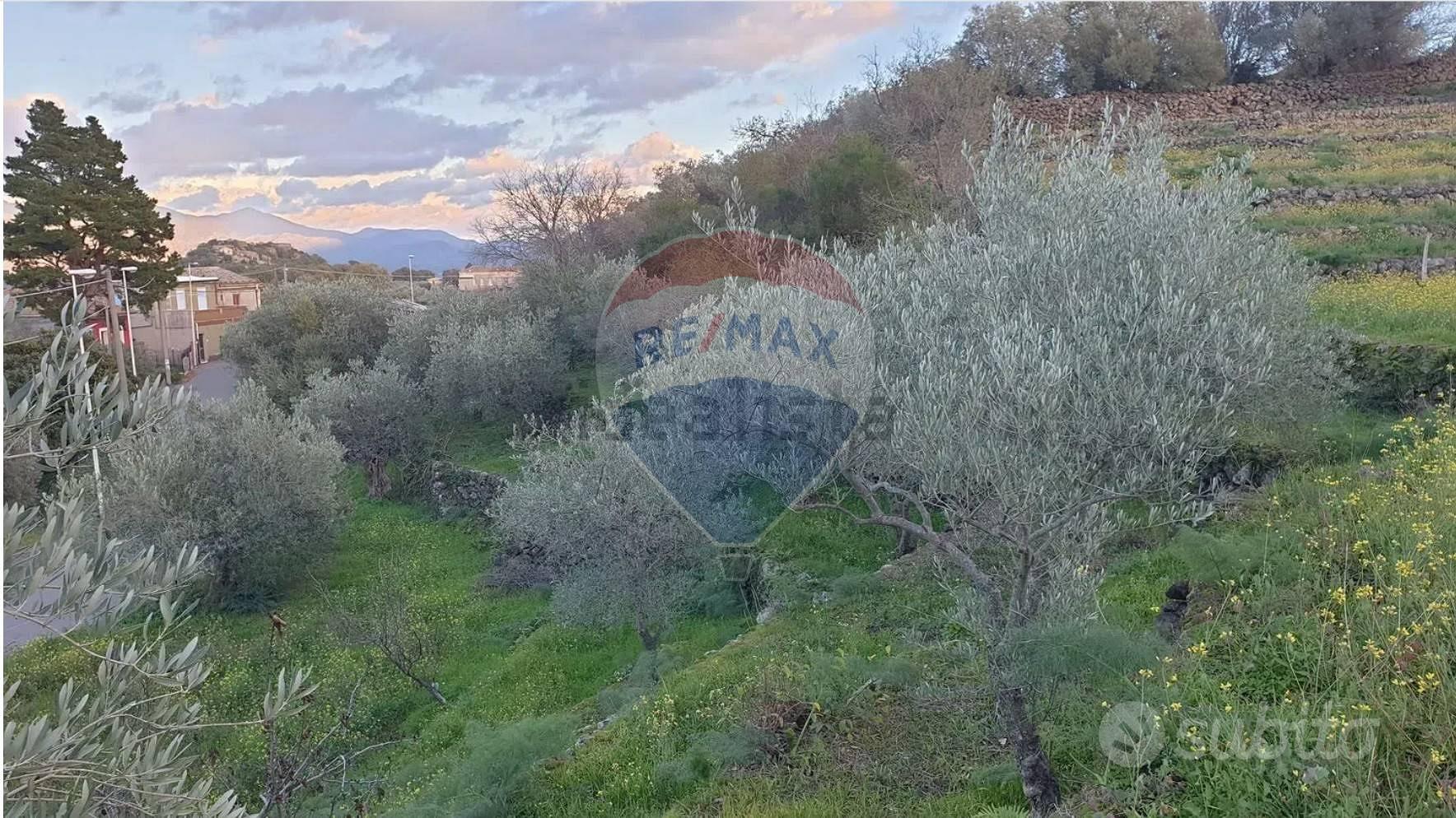Terreno - Castiglione di Sicilia - Vista 2