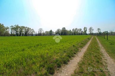 TER. AGRICOLO A POLPENAZZE DEL GARDA