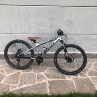 mtb vitus