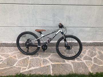 mtb vitus