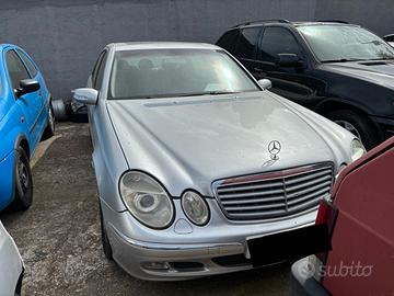 Mercedes-benz E 220 CDI cat EVO Avantgarde