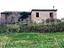 Immagine 17