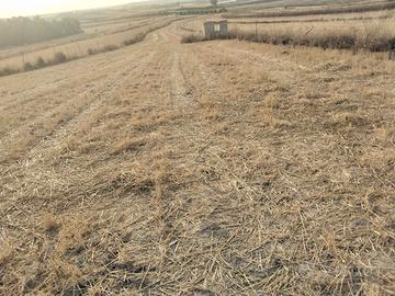 Terreno agricolo ribassato