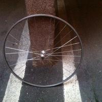 Cerchio palmer anteriore campagnolo nisi