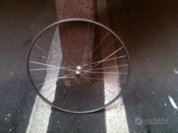 Cerchio palmer anteriore campagnolo nisi