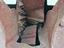 Immagine 6