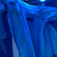 Camicia GAS grigia in cotone taglia M