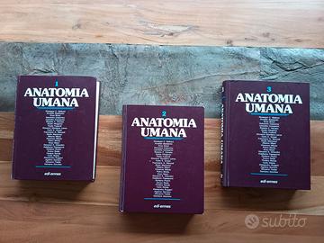Anatomia Umana Balboni Edi-Ermes 3 volumi