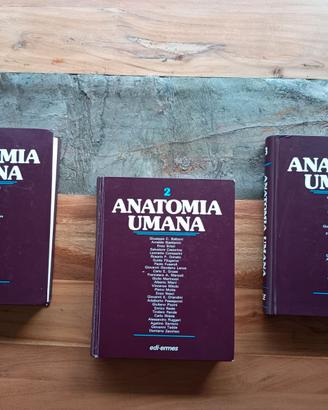 Anatomia Umana Balboni Edi-Ermes 3 volumi