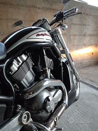 Harley-Davidson V-Rod