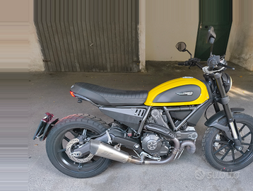 Ducati scrambler 800 icon gialla
