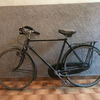 Bicicletta Raleigh