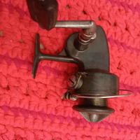 Alcedo con matricola 2B136