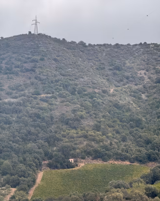 Terreno agricolo con piccola casetta