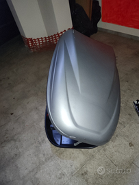 Siluro portapacchi smart 451