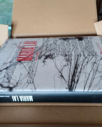 Libro: Maria Lai.....60 euro