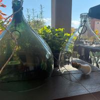 lampade boglasses