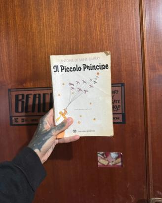 Il piccolo principe