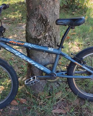 Bicicletta BMX modello Devil del marchio Alpina 