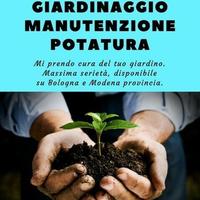 MANUENTORE AREE VERDI Giardiniere