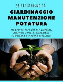 MANUENTORE AREE VERDI Giardiniere