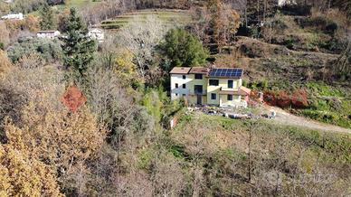 Terratetto Coreglia Antelminelli [UM100MGGVRG]