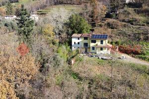 Terratetto Coreglia Antelminelli [UM100MGGVRG]