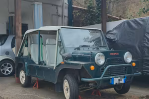 mini moke
