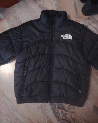 Giubotto the north face 