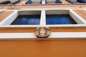 Appartamento Castelfranco Veneto centro
