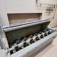 Depilatrice per suini