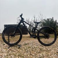 Canyon Strive CFR 29”