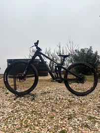 Canyon Strive CFR 29”