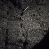 Fieno in ballette rettangolari