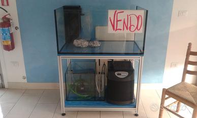 acquario